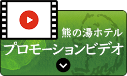 プロモーションビデオ