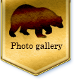 Photo gallery